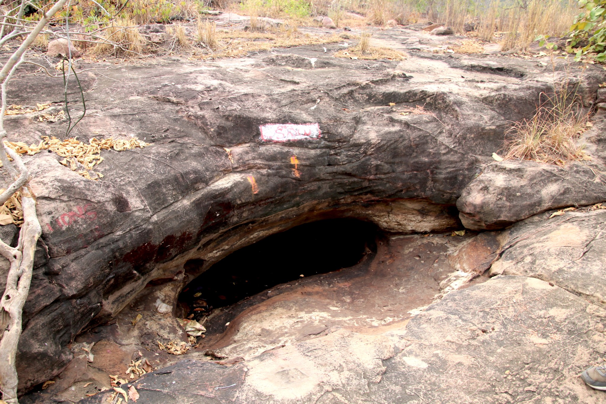 img_0697